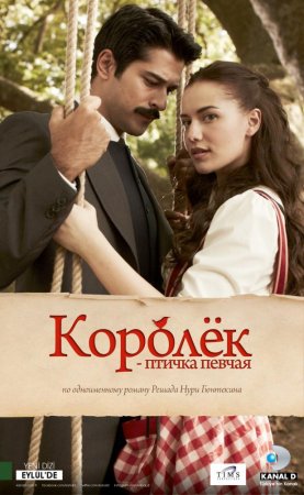 КОРОЛЁК – ПТИЧКА ПЕВЧАЯ (1-30 СЕРИЯ)