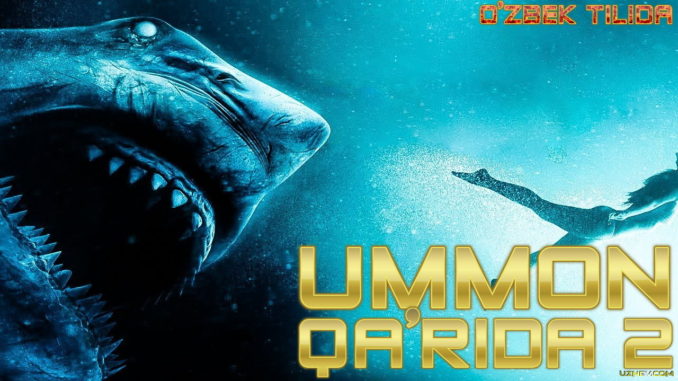 UMMON QARIDA 2 UZBEK TILIDA 2019 FULL HD O’ZBEK TARJIMA